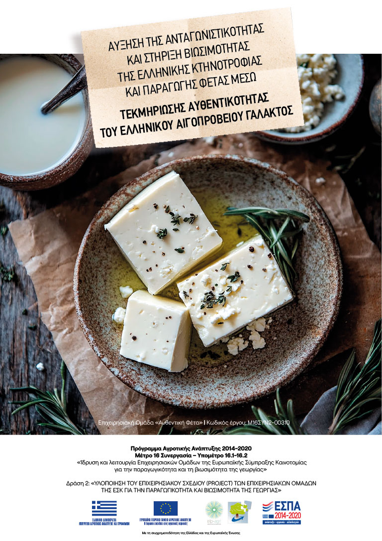 afisa Αφίσα ημερίδας